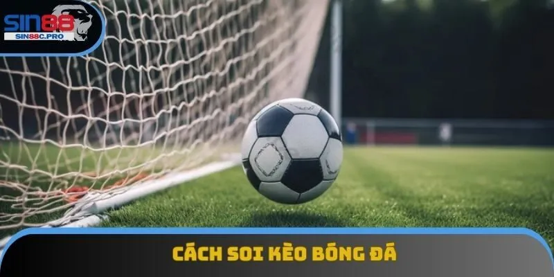 Cách Soi Kèo Bóng - Mọi Thứ Cần Biết Liên Quan Đến Cá Cược