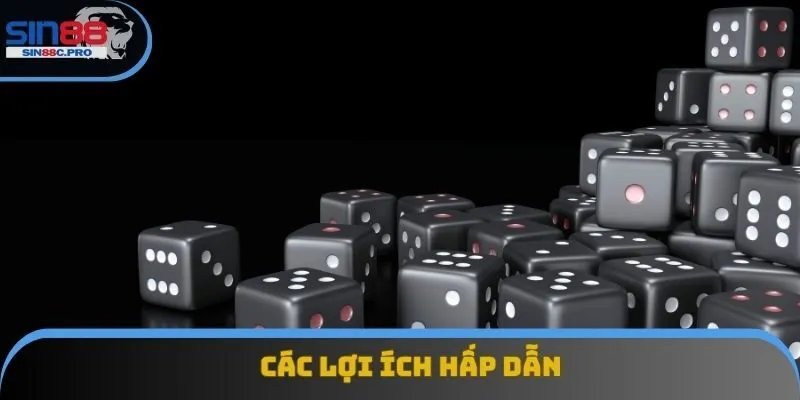 Các lợi ích hấp dẫn Các lợi ích hấp dẫn